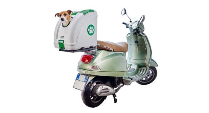 Consigli24  Trasportini per animali per bici e moto, la migliore compagnia  su due ruote